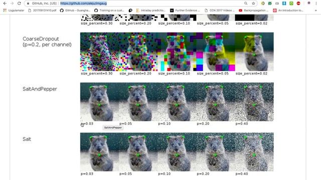 5.2 Techniques of Image Augmentation смотреть онлайн