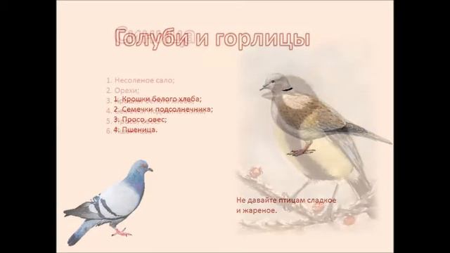 "А как сделать кормушку?" (в рамках Всероссийской акции "Покормите птиц зимой") смотреть онлайн