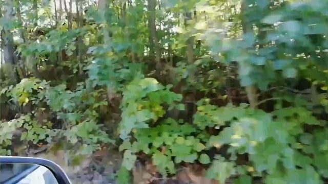 Киржач - кузьмияр смотреть онлайн