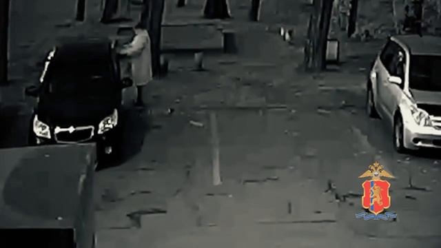 В Железногорске пенсионерка похитила детскую коляску и хотела передать её многодетным смотреть онлайн