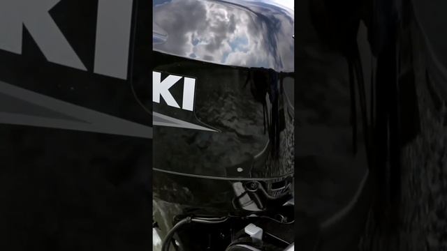 Suzuki Outboards are solid! #Suzukioutboard #tbnation смотреть онлайн