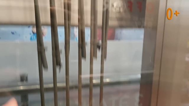 Лифт Kone обзор. Приключения baby go show в лифте ТЦ по улице Снежная 22. Денис в роли лифтера.