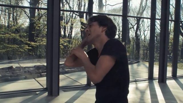 PINA 2011 (Rooftop- Luna de Margarita- Glasshouse) смотреть онлайн
