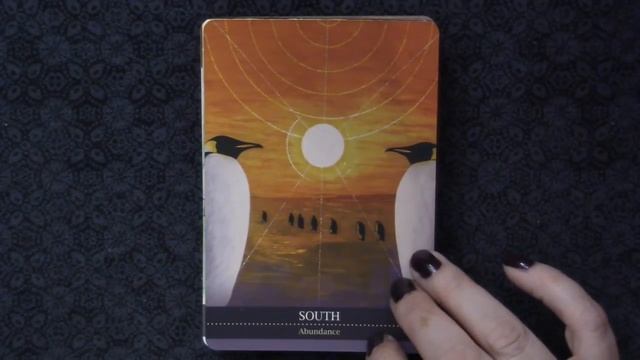 Shamanic Medicine Oracle Cards