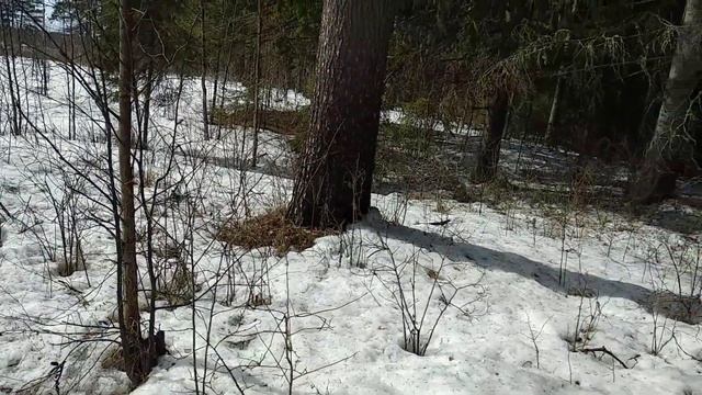 Случай из детства, когда бесследно пропал одноклассник смотреть онлайн