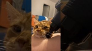 2024-03-09T01:04:02.906Z