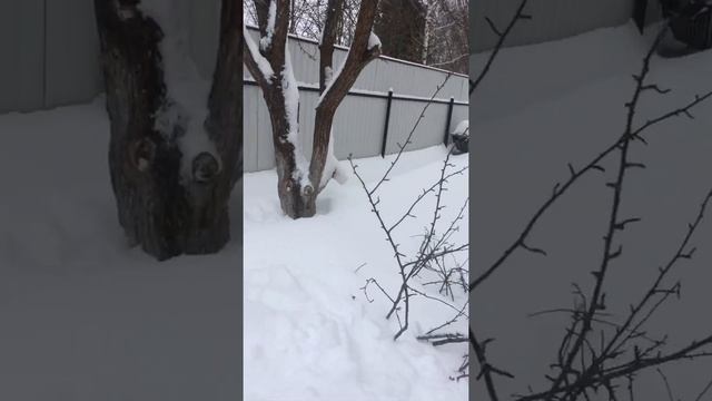 Дача волоколамск смотреть онлайн