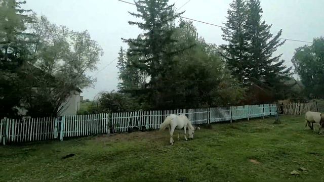 Автостопом на Ленские Столбы, Якутия