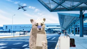 ✈️?|Puma_WildCraft ?