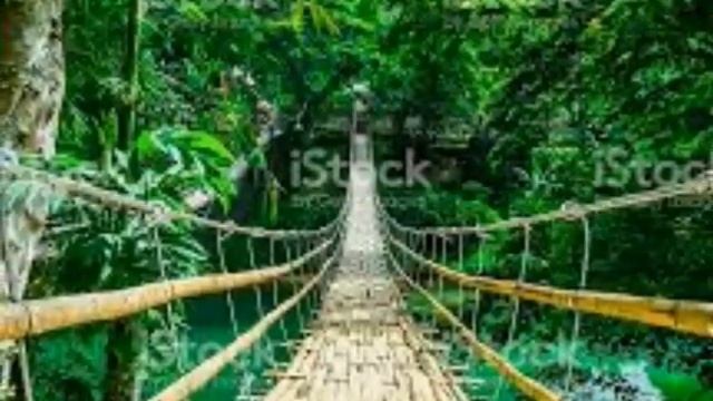 Китайская мелодия (скртпка, эрху, флейта) смотреть онлайн