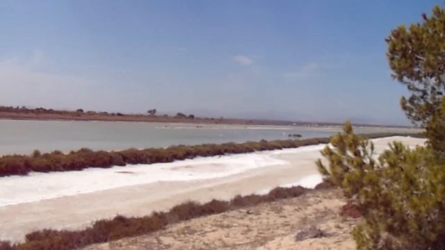 DIA DE FLAMENCOS | Salinas de torrevieja смотреть онлайн