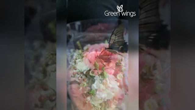 Букет с бабочкой в прозрачной коробке