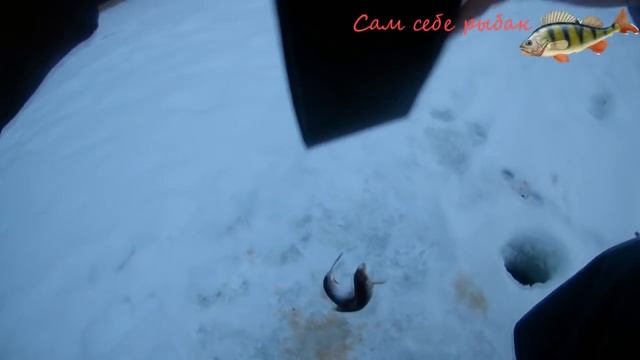 Вечерний клев плотвы. Рыбалка на поплавок технология СТЭЛС. смотреть онлайн