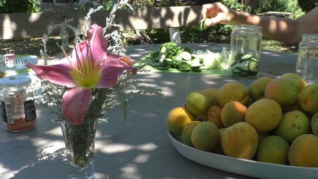 Маринованные огурцы. Для салатов, шаурмы и бутербродов. Насыщенны, пряный вкус. смотреть онлайн