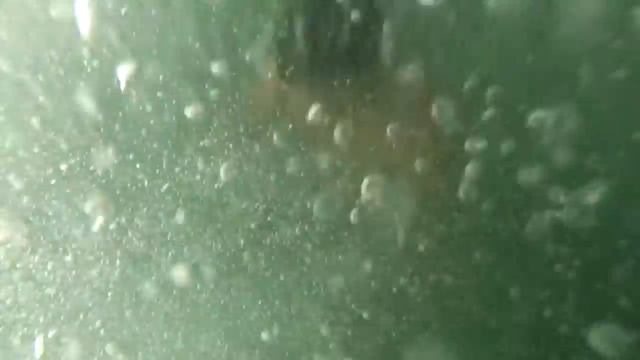 Солнечное видео из Поездки в Поморие(Болгария) с маленьким ушаном корги в главных ролях. 2015 смотреть онлайн