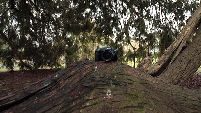 Canon EOS RP in 2023 - buy it over the R8 and R? смотреть онлайн
