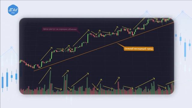 Вертикальный объем | Индикаторы в трейдинге | Как использовать? смотреть онлайн