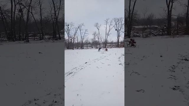 Мотособака из мотоблока + лыжи смотреть онлайн