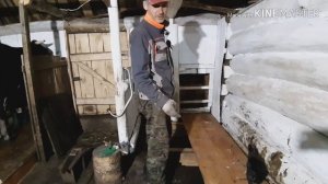 ОБУСТРОЙСТВО КОРОВНИКА / ПОДИУМ ДЛЯ КОРОВ.???