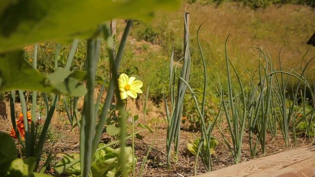 How To Install a WOODEN FLOOR смотреть онлайн