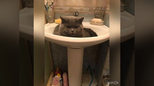 10-10-2023 смотреть онлайн