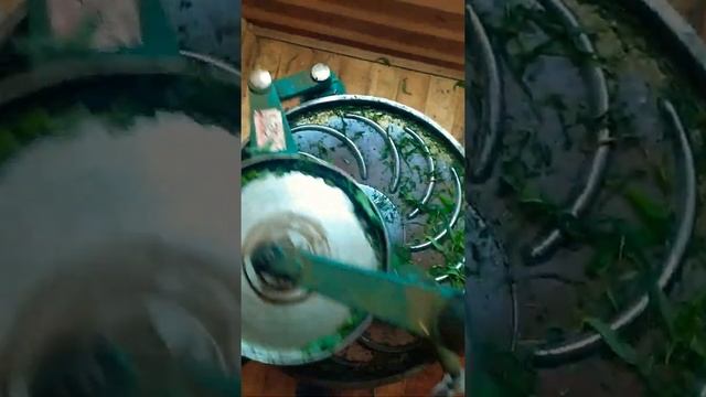 Роллер для скручивания листа Иван-чая смотреть онлайн