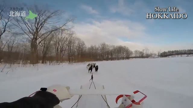 Slow Life Hokkaido - Mushing Works Dog Sledding смотреть онлайн