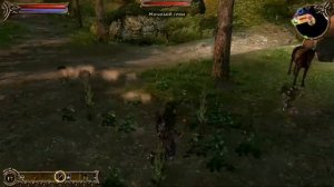 Деликатный Обзор игры Two worlds (epic edition) часть 2, Механика игры