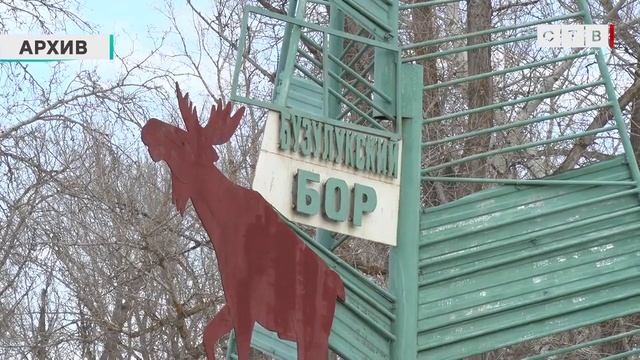 Сотрудничество в области развития туристической инфраструктуры Бузулукского бора смотреть онлайн