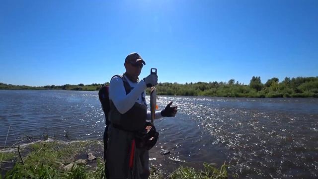 Голавль на реке Быстрая сосна смотреть онлайн