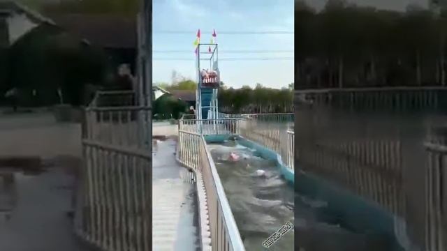 паросята вдв смотреть онлайн
