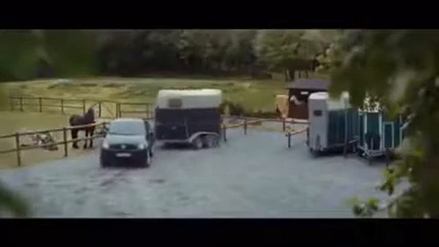 Wenn Pferde einen Lachanfall kriegen😂 смотреть онлайн