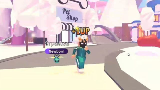 ПРОВЕРЯЮ ТРАСТ ТРЕЙДЕРОВ НА ОБМАН?┃ROBLOX ADOPT ME смотреть онлайн