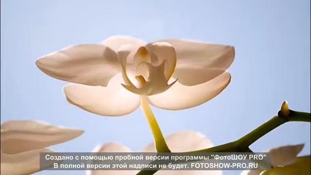 Огонь свечи смотреть онлайн
