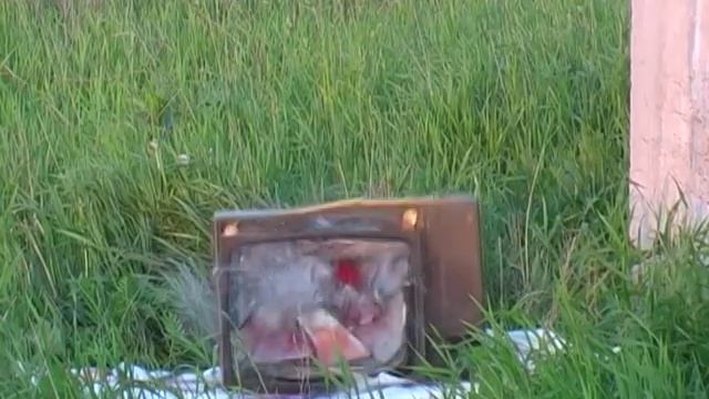 Сила притяжения для fonarevka.ru смотреть онлайн