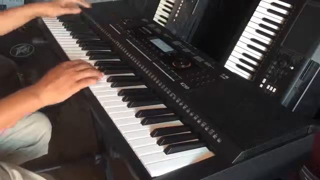 0783499814 bán đàn kurtzman k200 k250 k300 giá 2 triệu,bán yamaha dgx 520 530 220 230..giá re смотреть онлайн