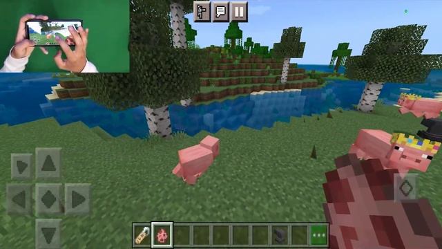 Minecraft TechnoBlade Pig Crown Tribute Is Here! (Addon) смотреть онлайн