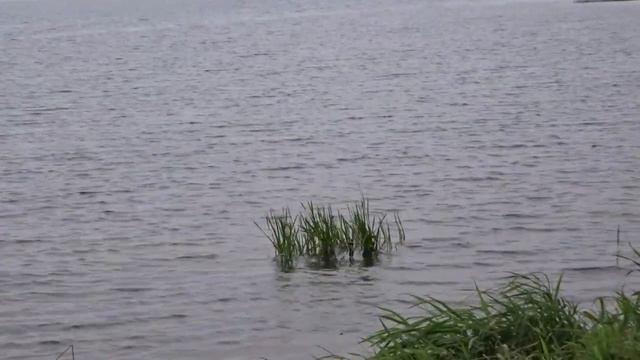 Отдых на Валдае смотреть онлайн