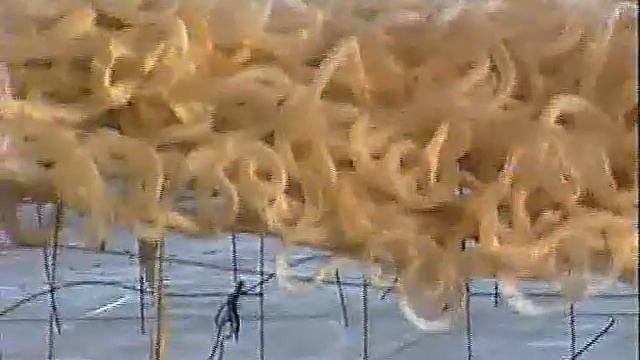 fragilis-e, 5 Instalaciones R. Mutt, 1994 смотреть онлайн