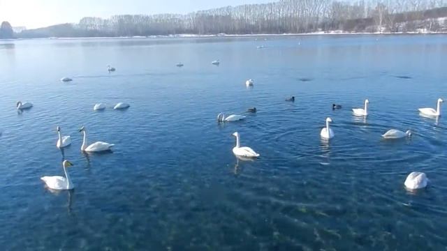 Поездка на Лебединое озеро с.Урожайное / 8 марта у нас зима/ Наши дороги - горы снега смотреть онлайн