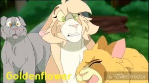 Звездоцап и. Златошейка к/в