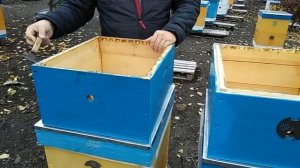 Улья рут - Фальц или Безфальц.