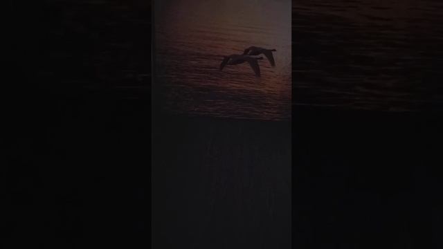 "Я давно не стучусь,туда где не ждут....."/Стихи для души/ Автор: С.Локкина смотреть онлайн