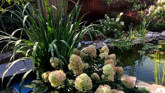 История создания сада. Своими руками за 4 года. Прогулка по саду. Как создать сад мечты смотреть онлайн