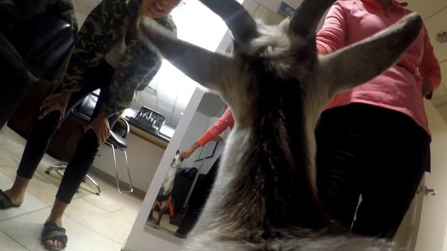 Tito Meets Sheryl Crow смотреть онлайн