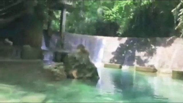 Cebu/palawan/Lets Travel To The Philippines/beaches Of The Philippines/beautiful Places In The Phil