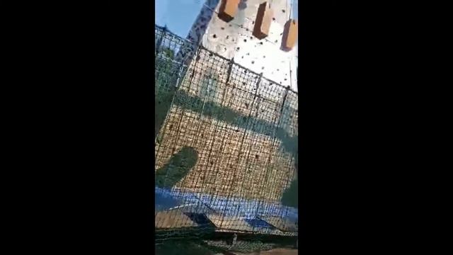 Я в верёвочном парке!! смотреть онлайн