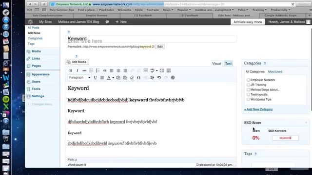 How to Add Multiple Keywords per blog article(wordpress) смотреть онлайн