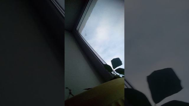 когда следующий видос смотреть онлайн