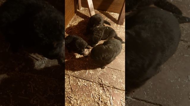 7 ноября 2023 г.